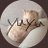 yuyu_0511k