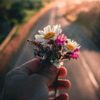 عايدة رائد (@aidaraed1997) 's Twitter Profile