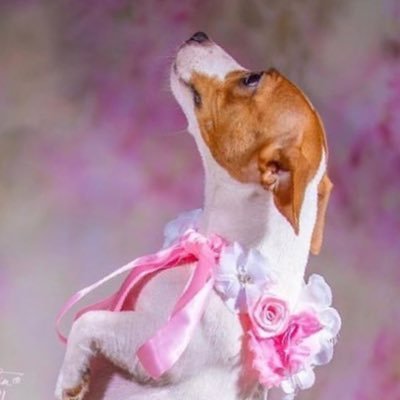 dont_giveafucky's profile picture. savage