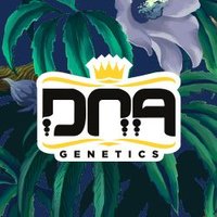 DNA Genetics(@DNAGenetics) 's Twitter Profile Photo