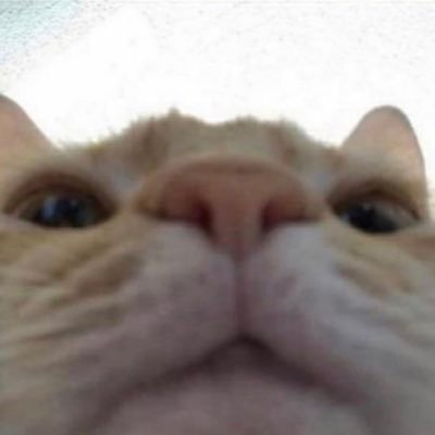 Console|Have loved snakes since I was two🐍|Not following back|Friend’s YT: xKrillix07| @woopers9| alt: @altofsnake