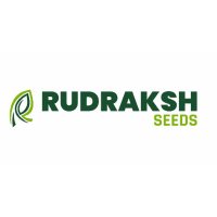 Rudraksh Seeds(@RudrakshSeeds) 's Twitter Profile Photo