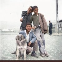 Murat Kutlu (@kutlu78kutlu) 's Twitter Profile