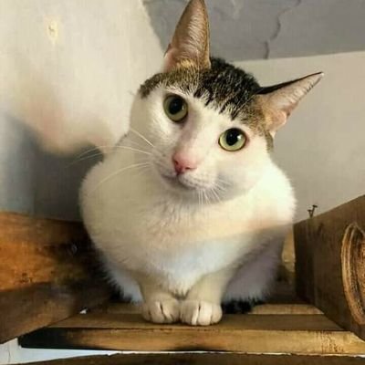 die_647's profile picture. y