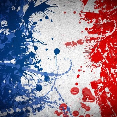 Passionné d'histoire. Patriote français, amoureux de la France, de la liberté, de laïcité et de la nation française! #Gaulois #Patriote #Frexit #souveraineté