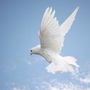 alvaro reyes herrera - @alvaroreyesher - Twitter