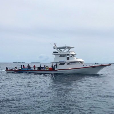 World’s most Sustainable #Handline Yellowfin Tuna fishing boat from A.Dh Mahibadhoo / Maldives 🇲🇻 . Proud member of Bodu Kanneli Masveringe Union ( BKMU )