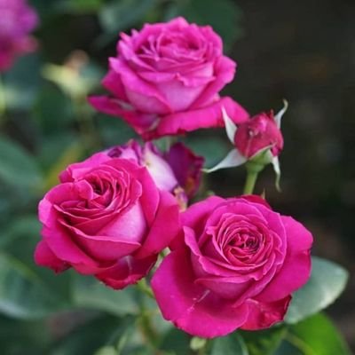 invisible0858's profile picture. Network, Computer & Information Technology Expert