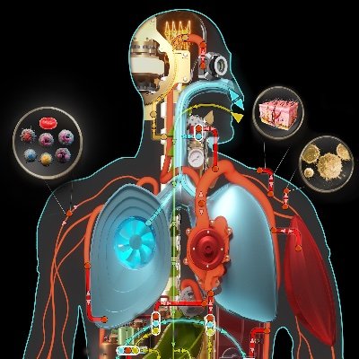 Ines Thiele - Molecular Systems Physiology Group with expertise in modeling of  human metabolism, gut microbial metabolism and of the diet-gut-health axis.