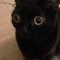 JayMoonn🌙 (@_jakmoon) 's Twitter Profile
