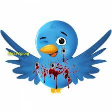 austinzabel's profile picture. i like to skateboard