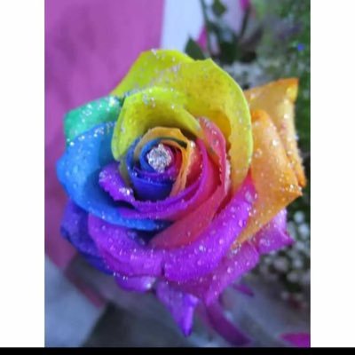 rachels_flower's profile picture. Fresh Flowers made to order. Aqua Bouquets, Flower arrangements for all occasions, Birthdays, Mothers Day, Weddings, Funeral tributes.