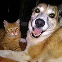 ReadBetweentheLyme (@readbtwnthelyme) 's Twitter Profile