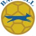 Barwell Cricketers FC (@barwellcfc) Twitter profile photo Barwell Cricketers FC (@barwellcfc) Twitter profile photo