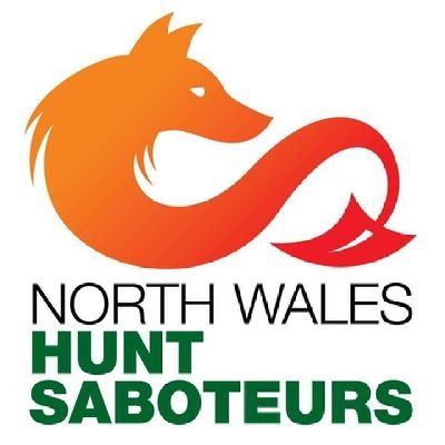 North Wales Huntsabs
