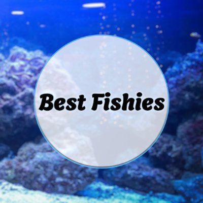 Best Fishies is an Aquarium Shop in Mount Dora, FL 32757