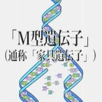 大院 (@ihnc1lan9wsids6) Twitter profile photo