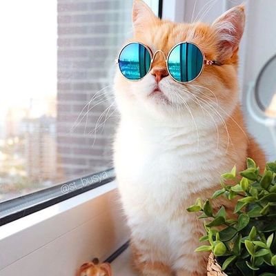 MDJahid47612518's profile picture. - আমি আমার মতোই,😊

- আমি আর অন্য কারোর মতো হওয়ার চেষ্টাও করি না!🙂🌸