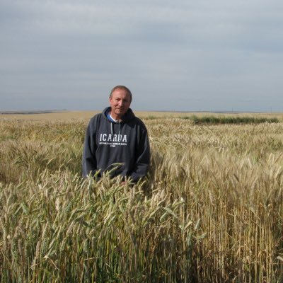 Triticale Breeder