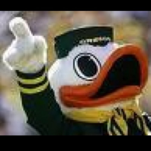 02Duck's profile picture. 