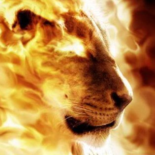 TheOGTruther's profile picture. Follower of Christ. Servant. Remnant. Bible study. Theology. Shadow banned. Voice in the wilderness. Speaker of unpopular truth. Small business owner. John 17:3