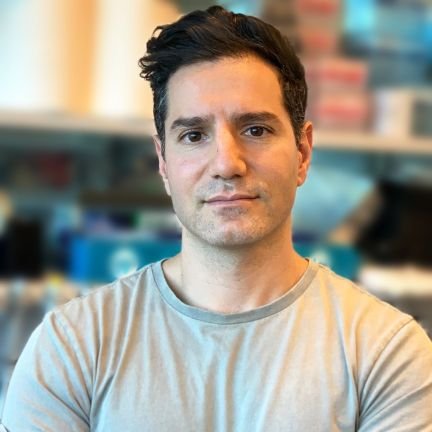 Michael Lazarou Profile