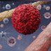 Beebe Lab (MMB) (@labbeebe) Twitter profile photo Beebe Lab (MMB) (@labbeebe) Twitter profile photo