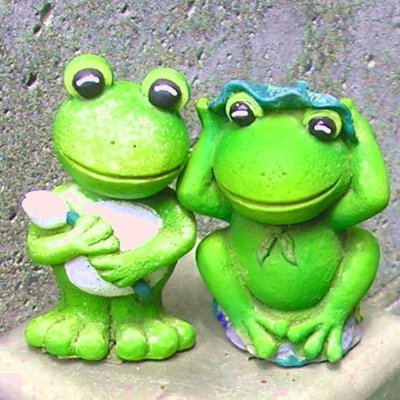 いそのみかんさんのプロフィール画像