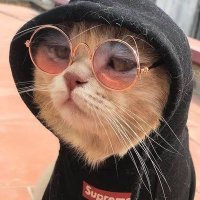 golden (@goldenftn1) 's Twitter Profile Photo