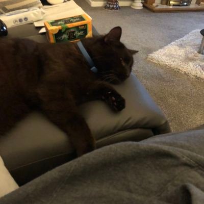 PaulGutmann4's profile picture. cheeky