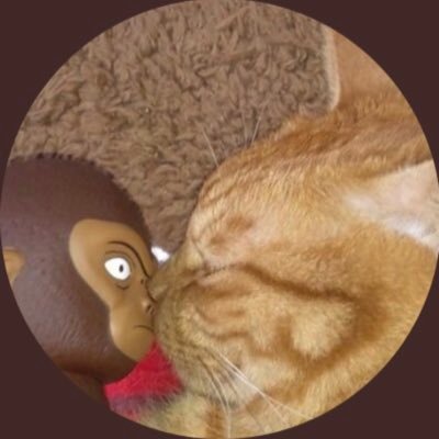 mashimalove's profile picture. クロマニヨンズ。岸くん。PINKY.。戸川純ちゃん。お芝居。映画。ネコ。チョコレート…好き。😥化学物質過敏症。🐈さき2020/4/26(21歳8ヶ月)🌈 🐈🐈マーシー&じゅりは元気いっぱい。ミシンはしばらくお預け。