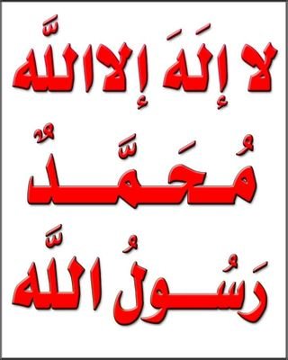 Mona19569299's profile picture. 