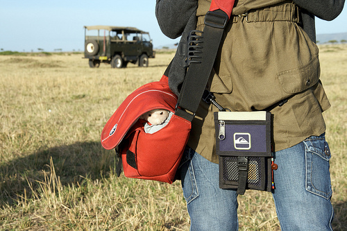 SheepTravels's profile picture. Aperture loving traveller, seeking mini adventures with the Sheep!