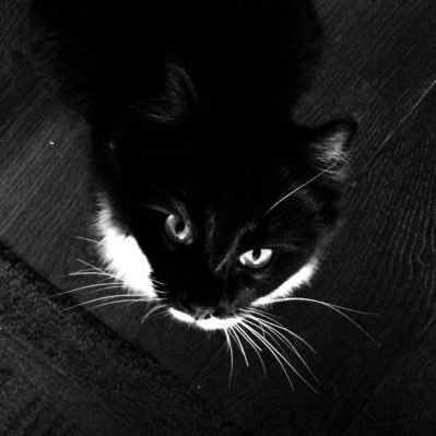 baxtercrypto's profile picture. 