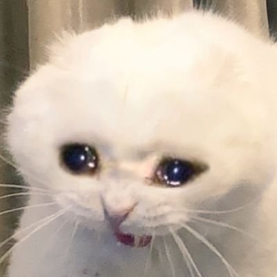 __faduma's profile picture. 