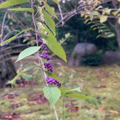 FtnsIeeMMiyllrl's profile picture. 最近本を読むことが多くなり読書垢を作ってみました。読書好きな人と繋がりたいです。ミステリーが好きですが、他のジャンルにも興味があります。あと、お笑いや音楽も好きです。無言フォローで申し訳ありません。よろしくお願いします。