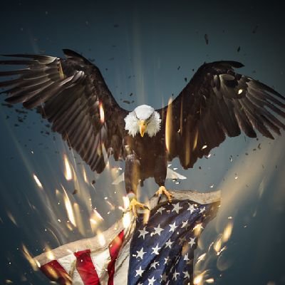 FrancoC93288983's profile picture. Creyente fielmente de mi Señor Jesucristo.