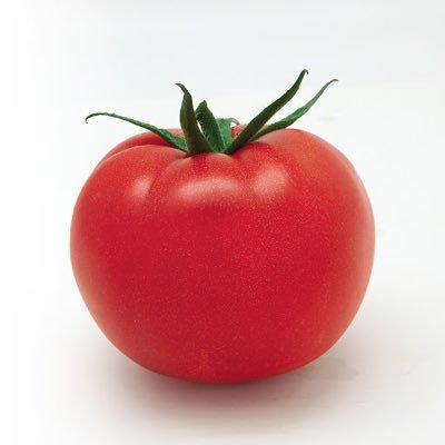 🍅R1 70-200 100-500 스트로보 배터리팩🍅프리뷰 받고 환불✖️ PayPal English ○ https://t.co/msUVgbtoaA