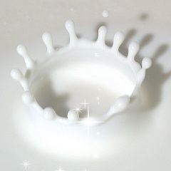 メロンさんのプロフィール画像