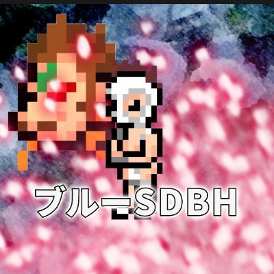 SDBH、ポケカ、ワンピース、ウエハースシール、マイクラ等2人の息子と楽しんでます☺️