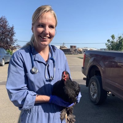 Poultry Veterinarian in Western Canada. MSc in 🐓🐔🐥🐣 Ethology 📸: dr.teryn