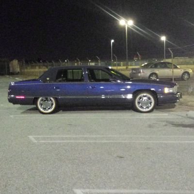 Tracy95201377's profile picture. wise