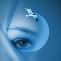 Lucia Manegatti (@luciamanegatti) 's Twitter Profile Photo Lucia Manegatti (@luciamanegatti) 's Twitter Profile Photo