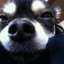 もんど - @MondoJunior - Twitter