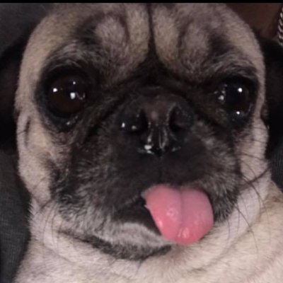 Pro Gamer / Editor
Tiktok : https://t.co/iUIcbK5P98…
Youtube : https://t.co/wjV8d6Rj28
Bussiness DM