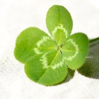 よつば🍀 (@yotuba_k_f) 's Twitter Profile