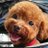 777Elpis's profile image