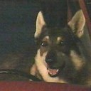 Laura Fallon - @_LittlestHobo_ - Twitter