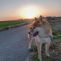 トモ (@r4dy36bj6iprvgp) 's Twitter Profile