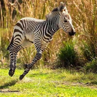 hunterx20748504's profile picture. great things comes for those who wait